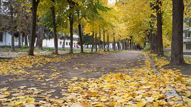 秋天的城市公园。时间流逝。视频素材