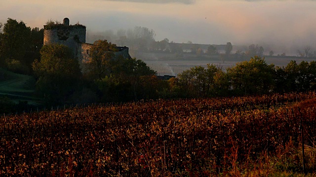 秋天的波尔多葡萄园下着霜和雾，时光流逝，兰戈兰城堡视频下载