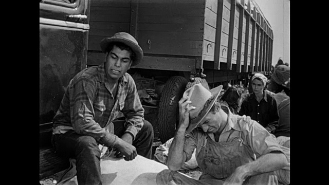 一个疲惫的男人和他的农场伙伴在棉花车旁边参观视频下载
