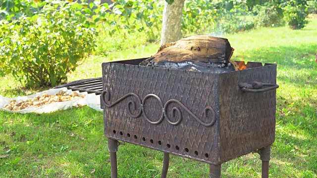 又大又干的木头在美丽的熟铁火盆里燃烧着。准备烧烤用的煤。一个阳光明媚的日子。背景是绿色的花园。FullHD视频下载