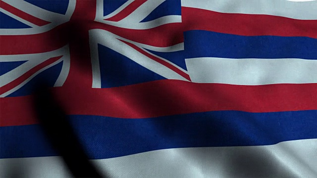 夏威夷的州旗视频素材