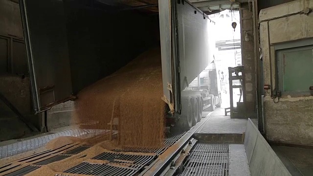 粮食卡车卸货视频素材