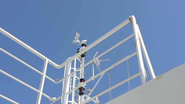 海鸥在船的灯塔上停了下来视频下载