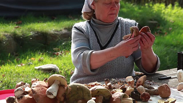 高级妇女在后院整理野生蘑菇视频下载