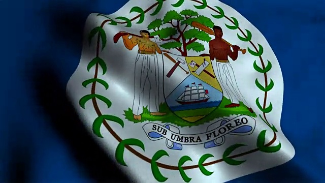 伯利兹国旗视频素材