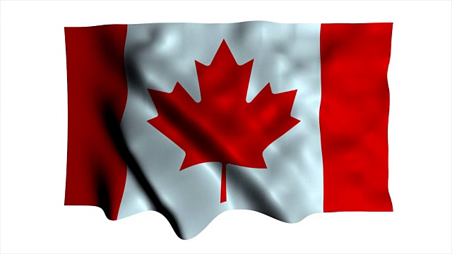 加拿大的国旗视频素材