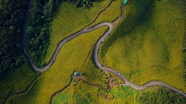 鸟瞰图拍摄美丽的道路在Mae Hong Son，泰国视频素材
