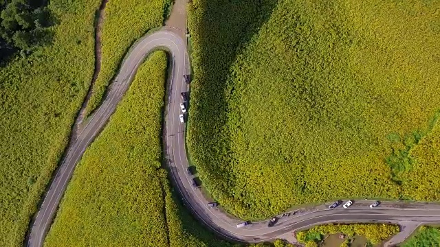 鸟瞰图拍摄美丽的道路在Mae Hong Son，泰国视频素材