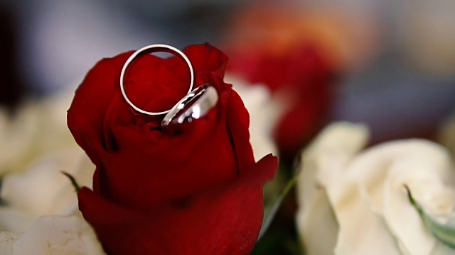 结婚戒指戴在玫瑰花束上。新婚夫妇的珠宝。婚礼配件视频下载