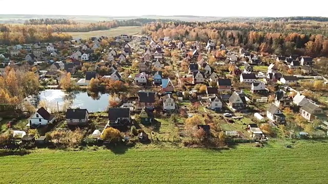 森林,秋天,乡村,自然美视频素材