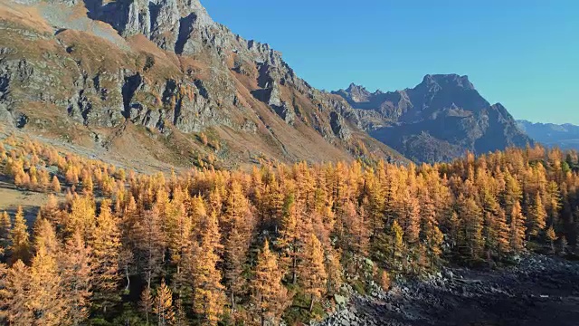 在阳光明媚的秋天，飞越高山峡谷湖泊，发现橙色的落叶松森林峡谷。阿尔卑斯山户外丰富多彩的自然景观，山野秋实的建立。4k无人机飞行建立视频素材