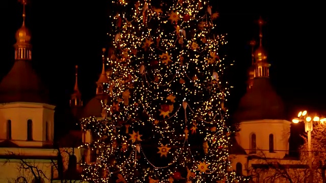 市中心的一棵大圣诞树。视频素材