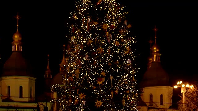 在闪烁的圣诞树中间。视频素材