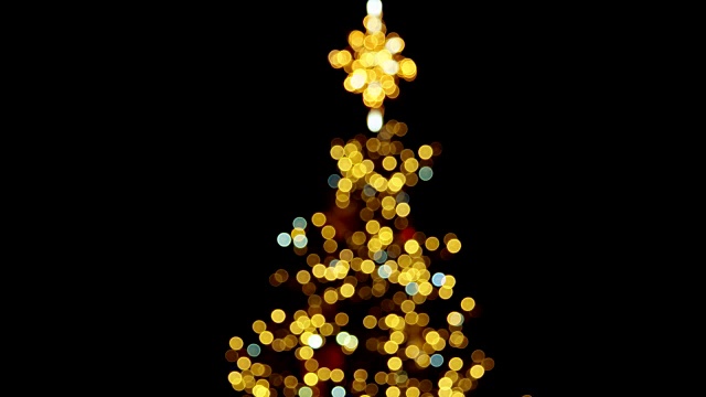 模糊的圣诞树顶部。视频素材