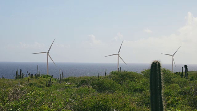 风力涡轮机沿着加勒比海，库拉索岛4K视频视频下载