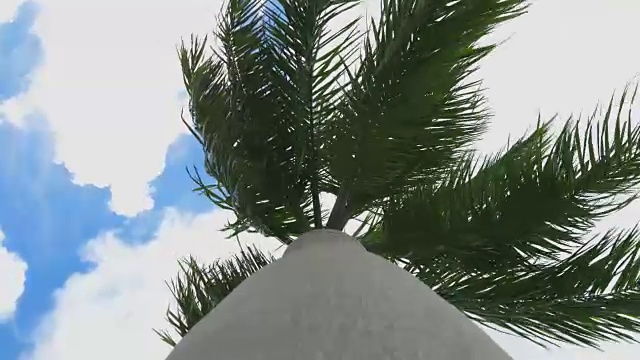 棕榈树迎风蓝天4K视频视频素材