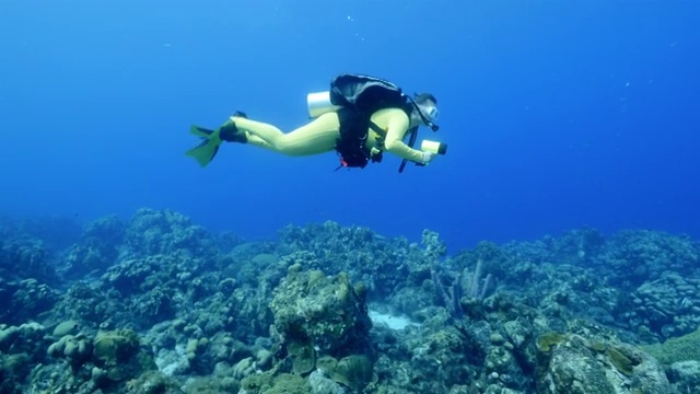 潜水员在库拉索岛附近的加勒比海珊瑚礁视频素材