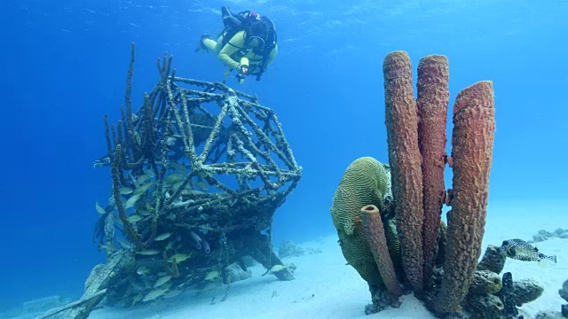 一名潜水员在库拉索岛附近的加勒比海失事飞机上，巨大的海绵在前景中视频素材