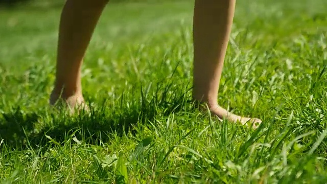 特写镜头的女人的脚走在绿色的夏季草地上。她穿着时髦的衣服，拿着手机。快乐的夏天。视频下载