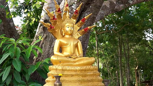 佛像，佛寺，泰国甲米兰大古城视频下载
