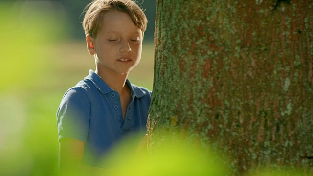 孩子抱着树视频下载