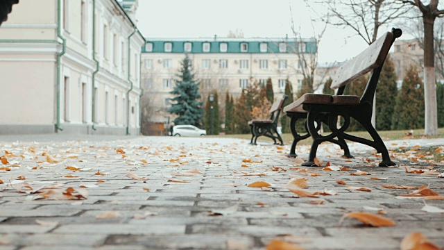 幸福的夫妇在温暖的外套走在欧洲城市的历史中心在秋天。秋天的颜色，黄叶在大地上。慢动作，底部视图视频下载