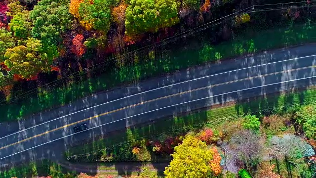 在阿巴拉契亚山，波科诺斯，宾夕法尼亚州的森林道路顶视图，秋天的树叶。空中无人机视频。视频素材