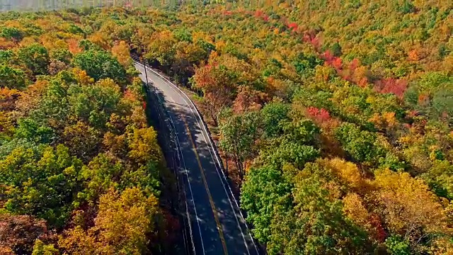在阿巴拉契亚山的森林，波科诺斯，宾夕法尼亚州，与秋天的树叶的道路上的俯视图。无人机录像。视频素材
