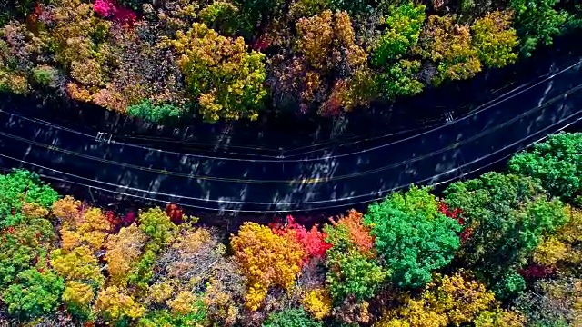 在阿巴拉契亚山，波科诺斯，宾夕法尼亚州的森林道路顶视图，秋天的树叶。空中无人机视频。视频素材