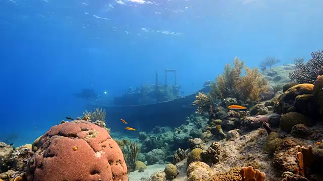 船失事'拖船'在加勒比海珊瑚礁附近库拉索岛视频下载
