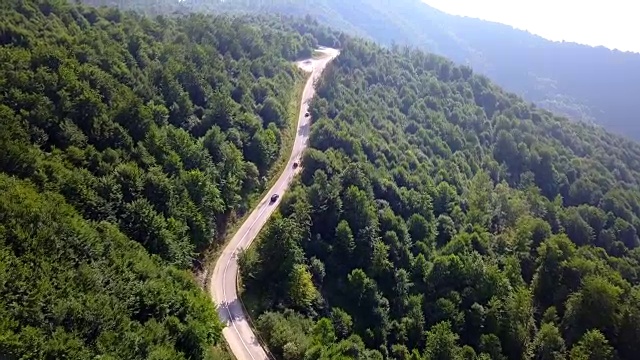 森林驾驶空中视频素材