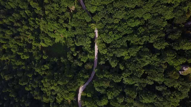 森林航空视频素材