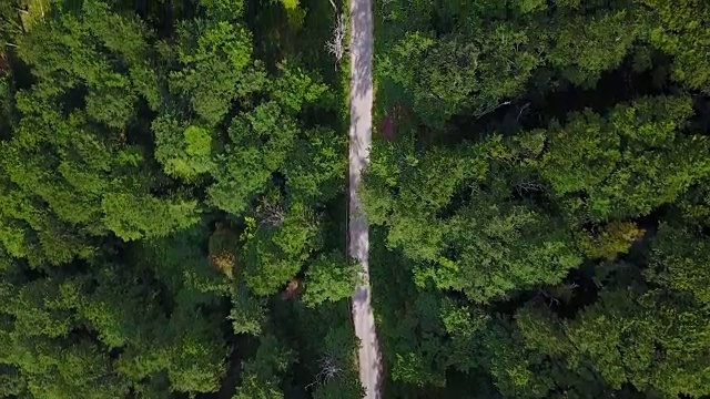 森林航空视频素材