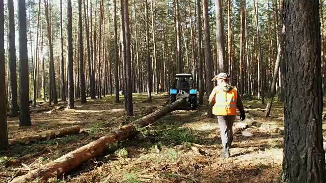 带防护装备的伐木工人用链锯在森林中砍伐木柴木材视频素材