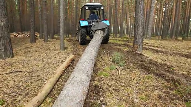 伐木工人与现代收割机在森林中工作。木材是一种可再生能源视频素材