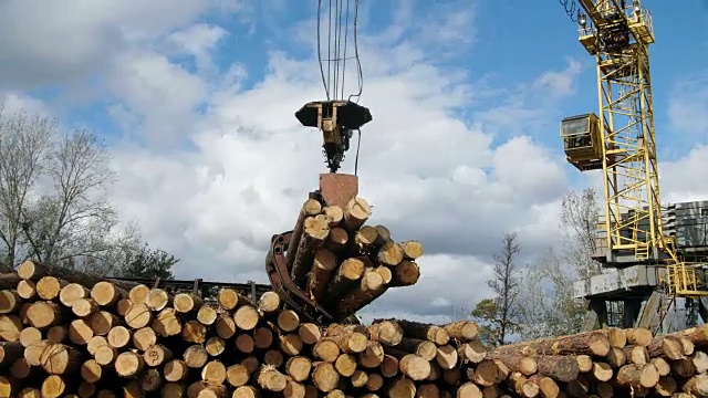 伐木工人与现代收割机在森林中工作。木材是一种可再生能源视频素材