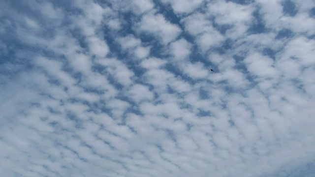 云在蓝天中移动。间隔拍摄视频素材