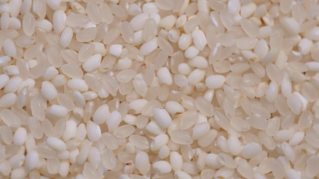关闭水稻种子轮作视频下载