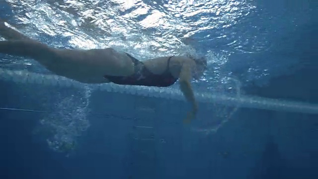女子游泳运动员在透明水池的泳道上进行爬泳视频素材