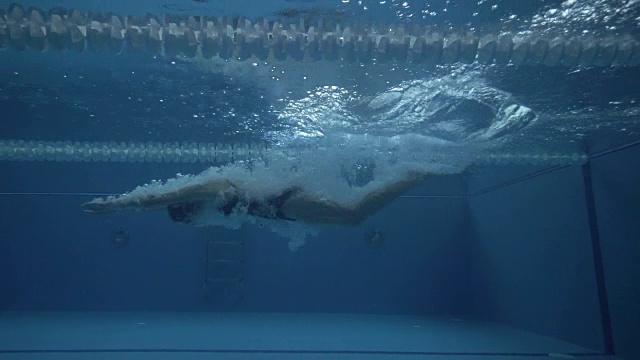女子游泳运动员开始在水池中跳水。游泳者在深水池中跳跃视频素材
