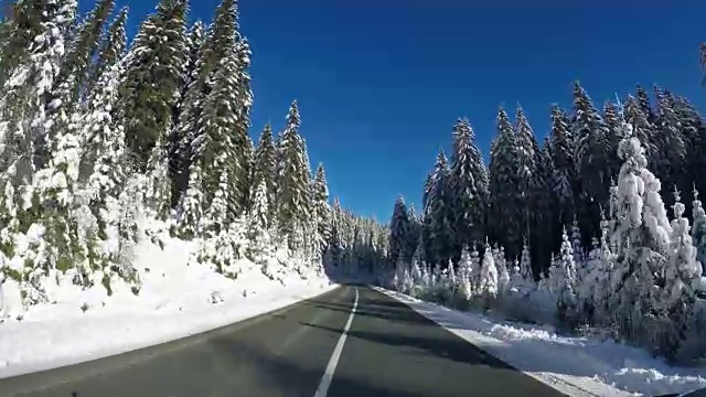 在空旷的道路上驾车沿着森林在冬天视频素材