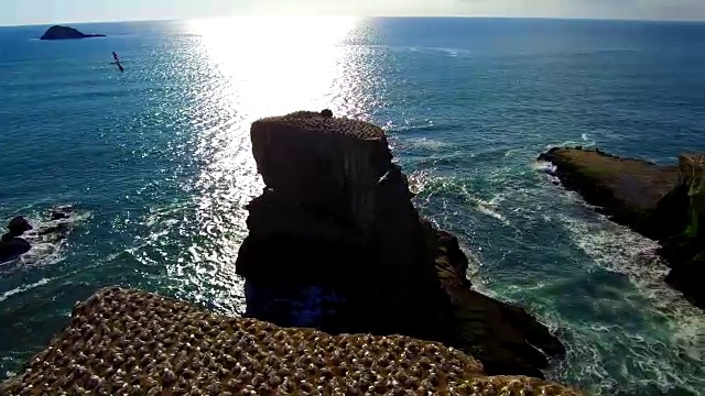 穆里瓦伊海滩视频素材