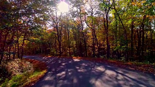 无人机低空视频。在树叶茂盛的秋天，沿着乡间小路穿过森林。科勒,宾夕法尼亚州,美国视频下载