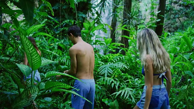 徒步旅行到丛林瀑布的朋友们视频素材