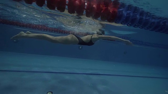 运动女子游泳运动员浮动蛙泳在水池水下的观点。视频素材
