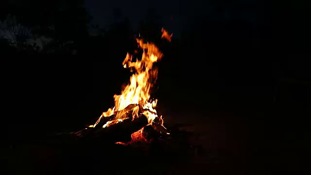 在夜晚燃烧篝火视频素材