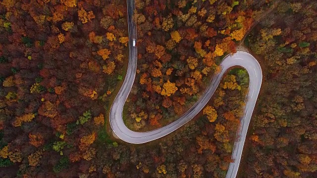 无人机:空中公路旅行-在深秋4k乡村公路上空飞行视频素材