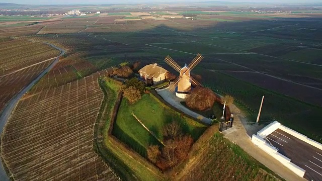 鸟瞰图的Verzenay葡萄园和风车的山坡上的蒙塔尼德兰斯，法国视频下载
