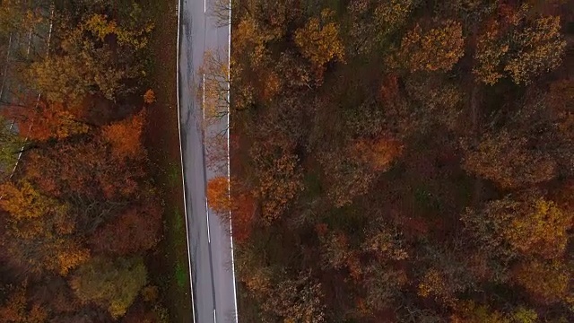 无人机:空中公路旅行-飞行直接在森林乡村道路4K视频素材