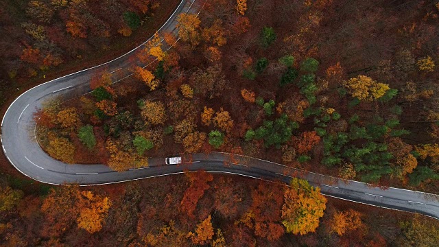 无人机:空中公路旅行-飞越弯曲的道路在森林4K视频素材